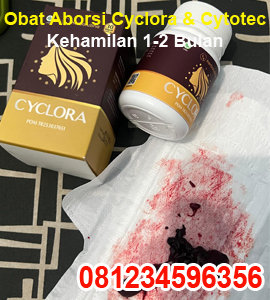 cara-menggugurkan-kandungan-dgn-obat-aborsi-cyclora-dan-cytotec-400-mg-untuk-kehamilan-5-6-7-8-m.jpg