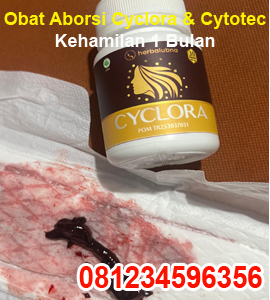 obat-penggugur-kandungan-cyclora-dan-cytotec-400-mg-untuk-kehamilan-1-2-3-4-minggu.jpg
