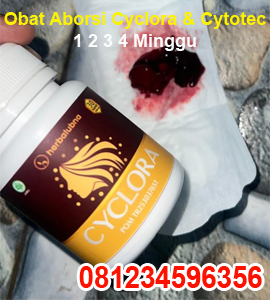 jual-obat-aborsi-cyclora-dan-cytotec-misoprostol-1-2-3-4-5-6-7-bulan.jpg